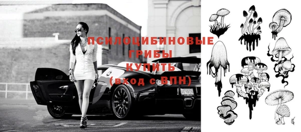 a pvp Медногорск