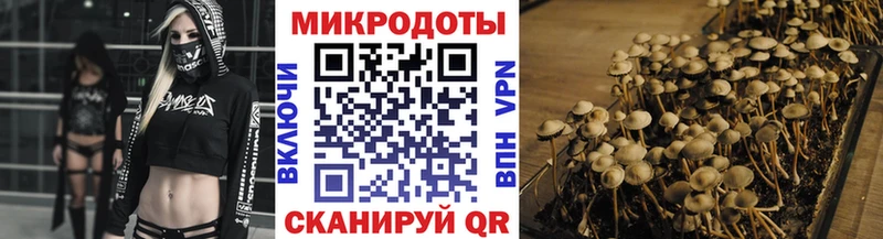 Псилоцибиновые грибы мицелий  купить   Холмск 