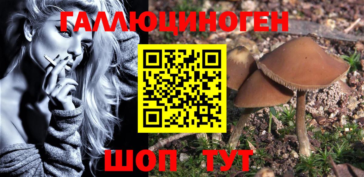 Псилоцибиновые грибы Magic Shrooms Холмск